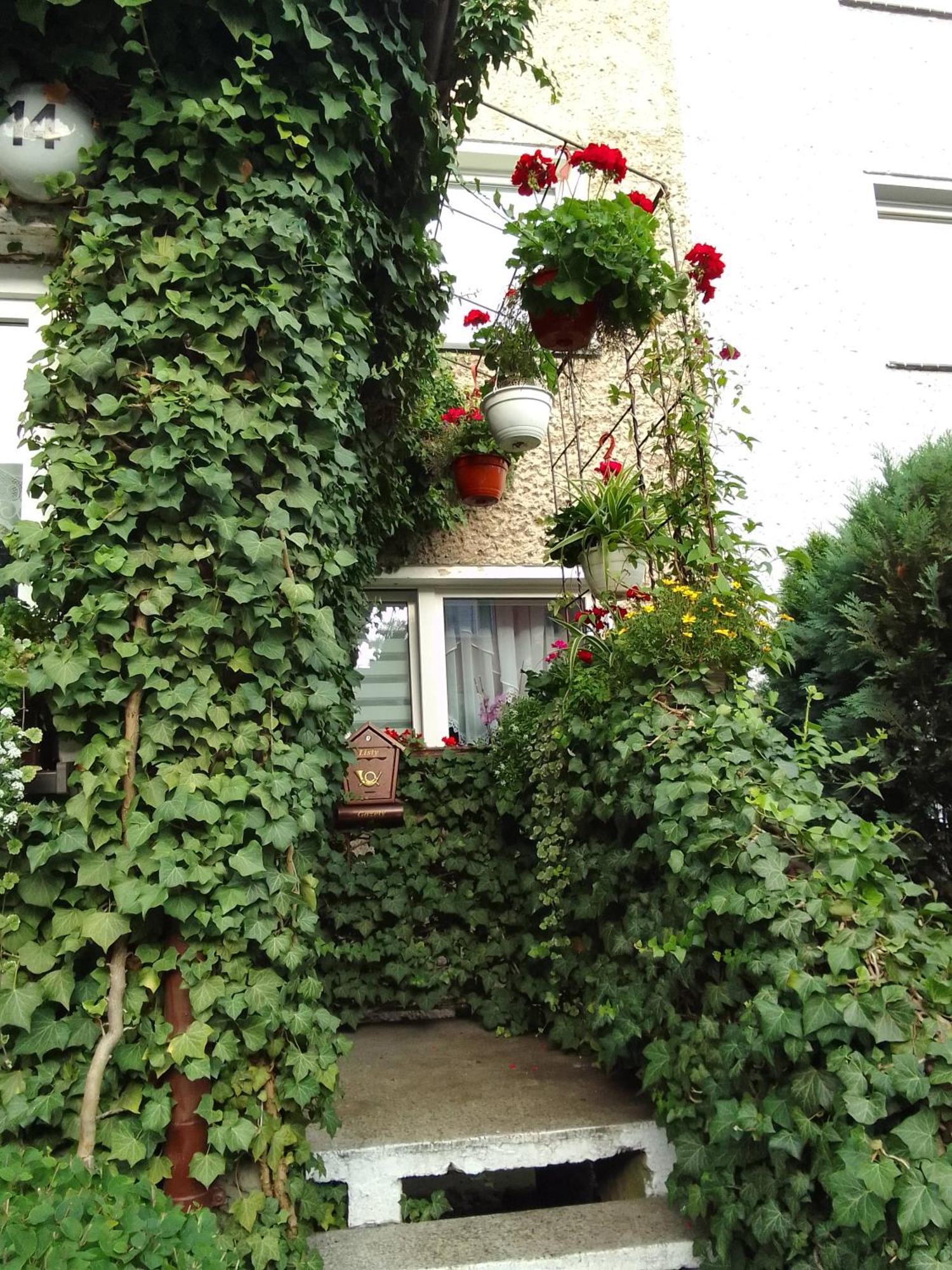 Pod Bluszczem Apartment Swinoujscie Ruang foto